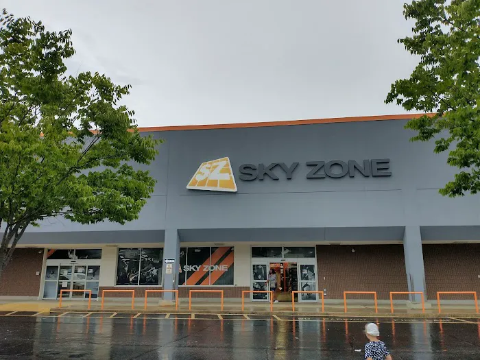 Sky Zone Trampoline Park Picture 9