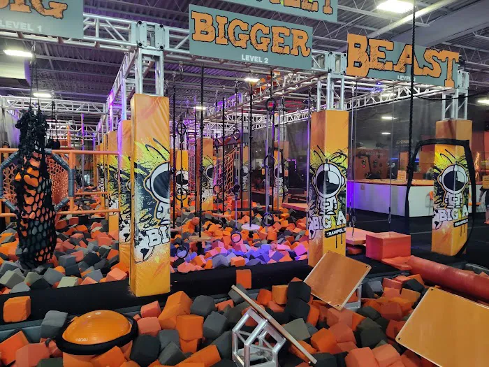 Big Air Trampoline Park Picture 5