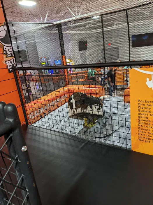 Big Air Trampoline Park Picture 3