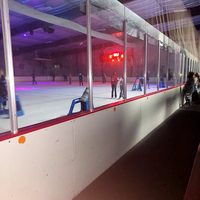 The Ice Zone Picture 2