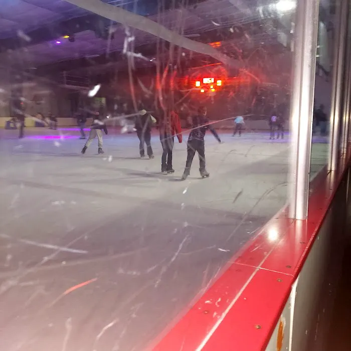 The Ice Zone Picture 5