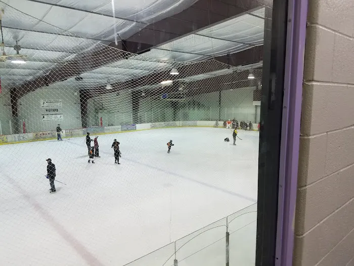 The Ice Zone Picture 3