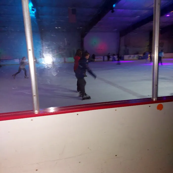 The Ice Zone Picture 4