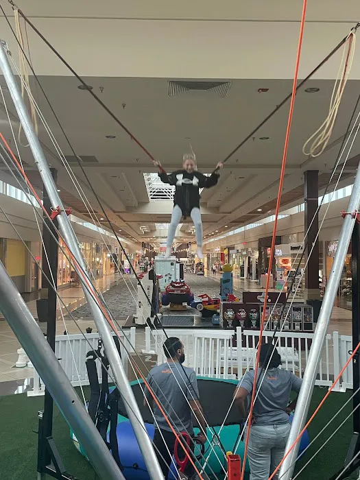 Moonshot Bungee Picture 3