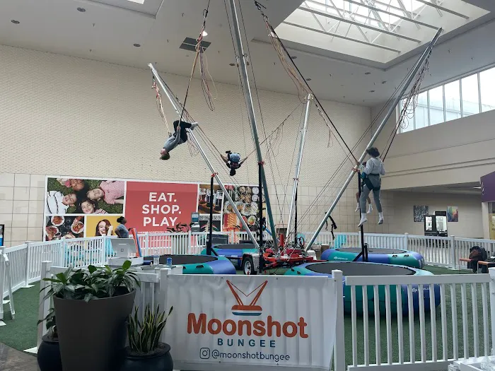 Moonshot Bungee Picture 1