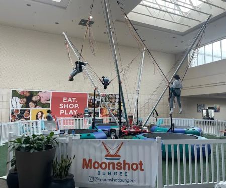 Moonshot Bungee