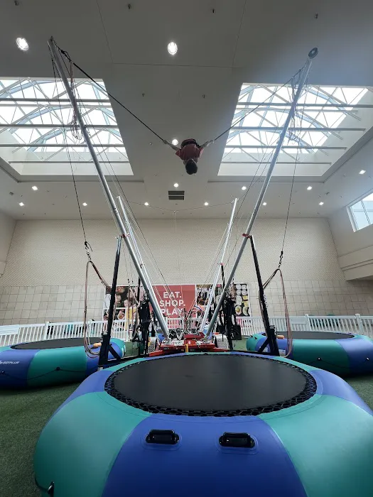 Moonshot Bungee Picture 2