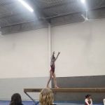 Gymnastics Factory