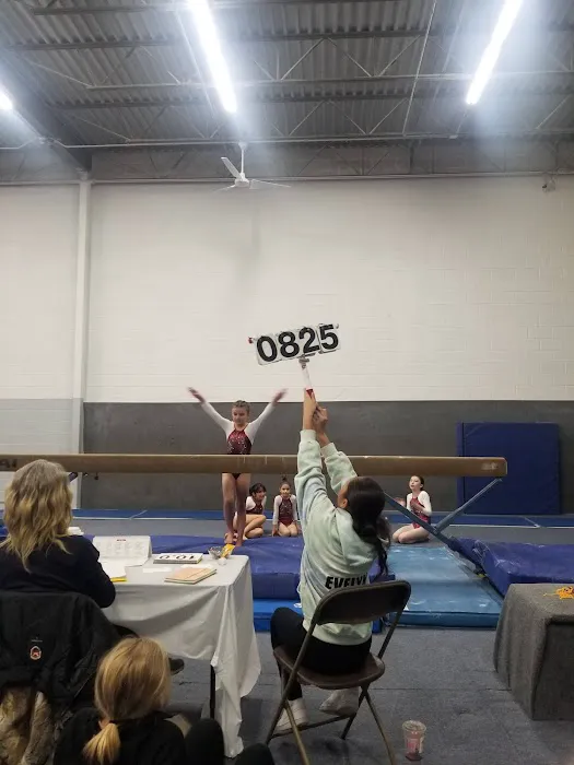 Gymnastics Factory Picture 3