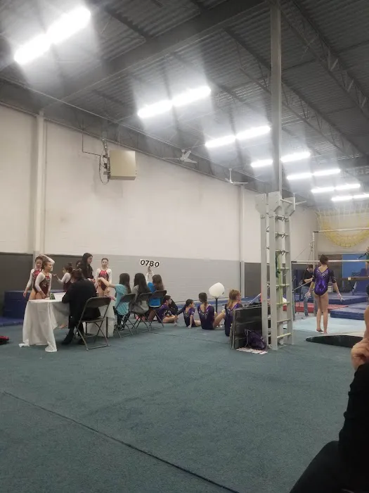 Gymnastics Factory Picture 5