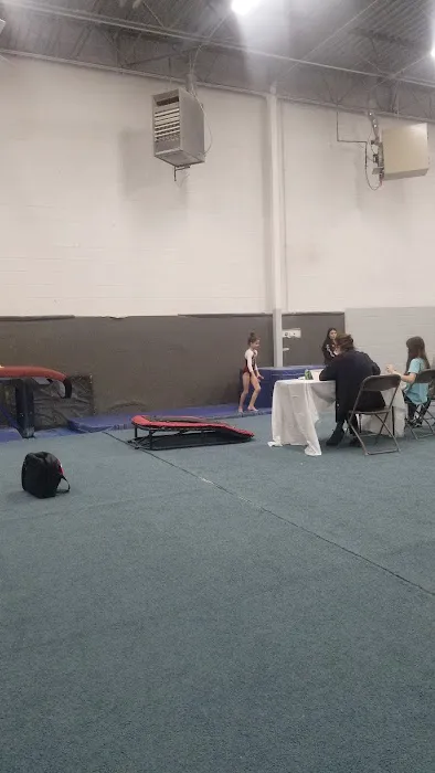 Gymnastics Factory Picture 4