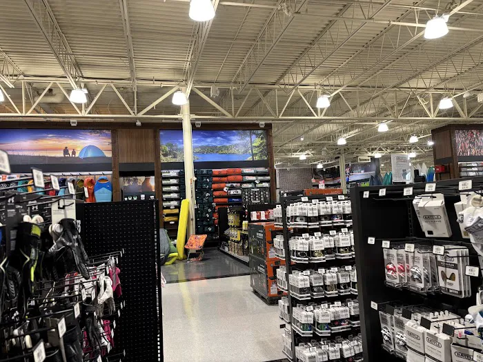 DICK'S Sporting Goods Picture 2