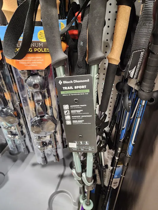 Academy Sports + Outdoors Picture 9