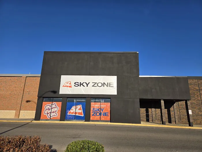 Sky Zone Trampoline Park Picture 8