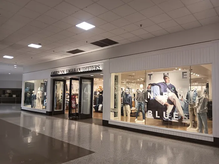 DICK'S Sporting Goods Picture 7