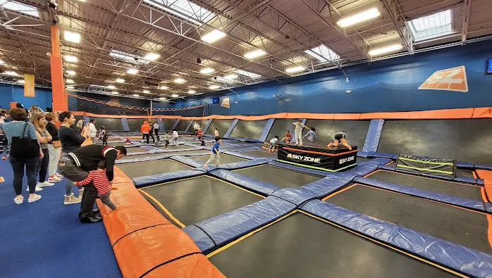 Sky Zone Trampoline Park Picture 6