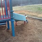Etowah Park