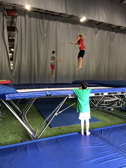 Merino Trampoline Gymnastics Academy Picture 1