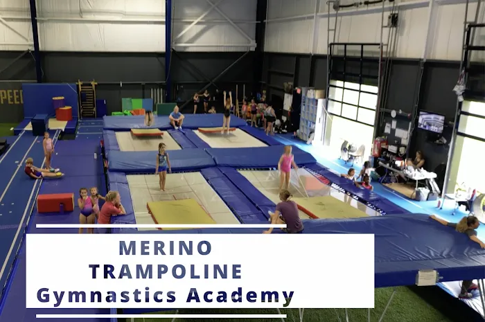 Merino Trampoline Gymnastics Academy Picture 10