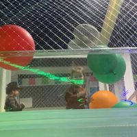 Let's Play Huntsville ico