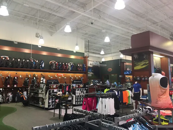 DICK'S Sporting Goods Picture 6