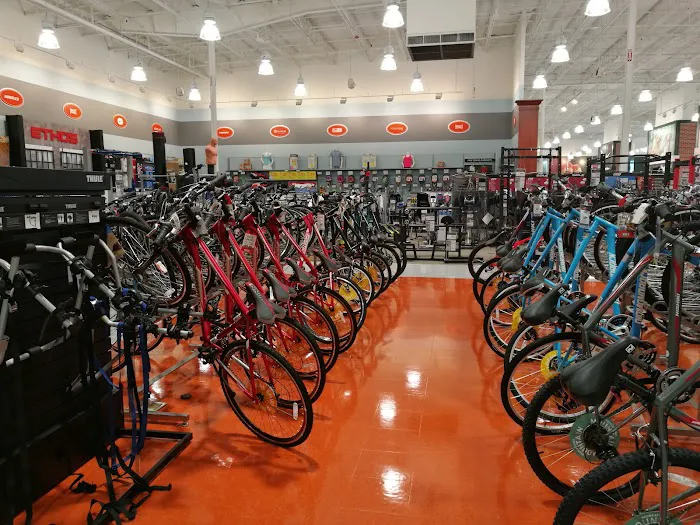 DICK'S Sporting Goods Picture 3