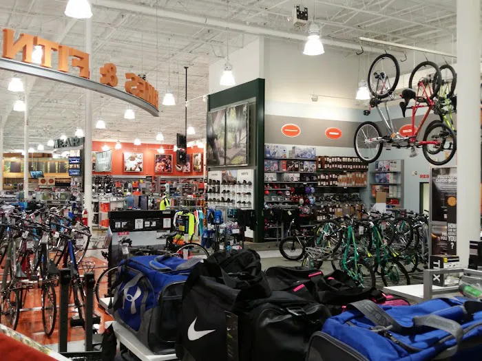 DICK'S Sporting Goods Picture 8