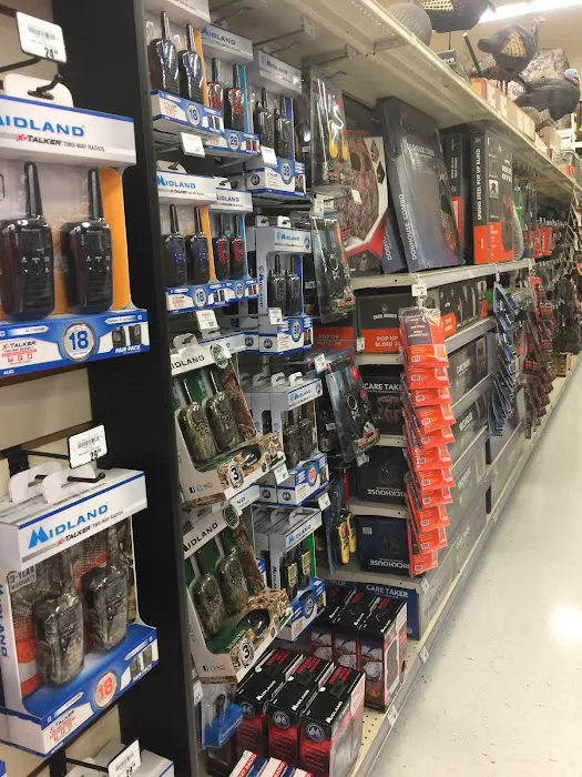 Academy Sports + Outdoors Picture 6