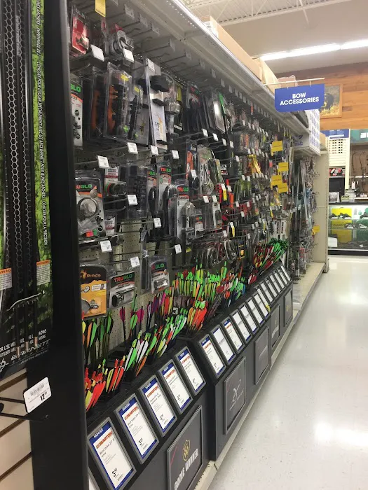 Academy Sports + Outdoors Picture 9