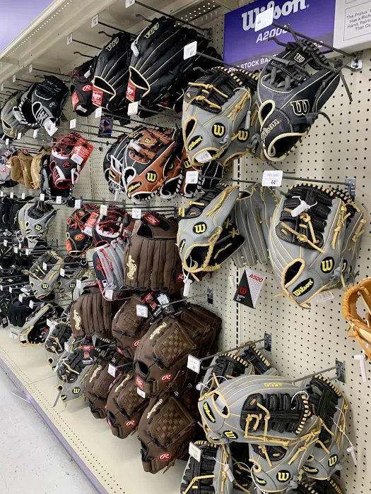 Academy Sports + Outdoors Picture 8