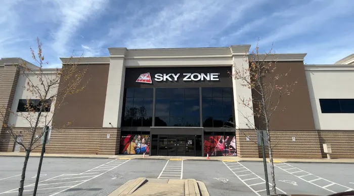 Sky Zone Trampoline Park Picture 10