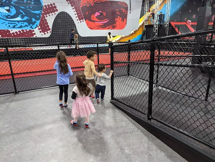 Sky Zone Trampoline Park Picture 1
