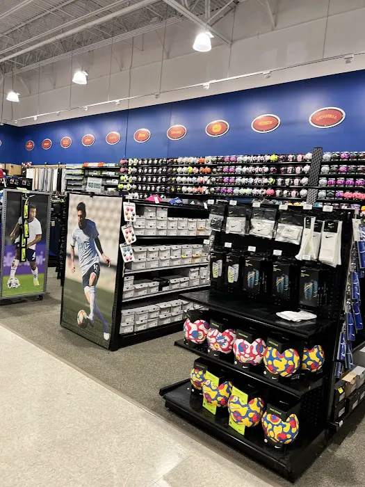 DICK'S Sporting Goods Picture 3