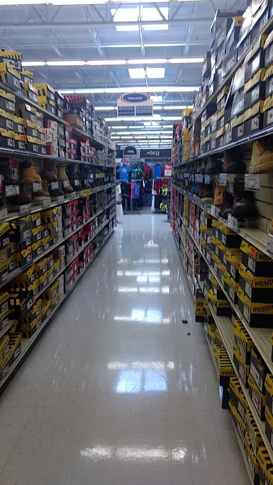 Academy Sports + Outdoors Picture 7