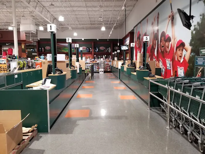DICK'S Sporting Goods Picture 6