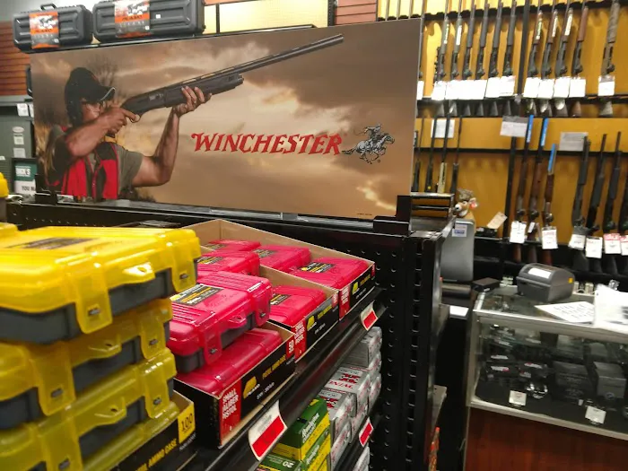 DICK'S Sporting Goods Picture 2