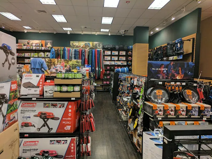 DICK'S Sporting Goods Picture 8