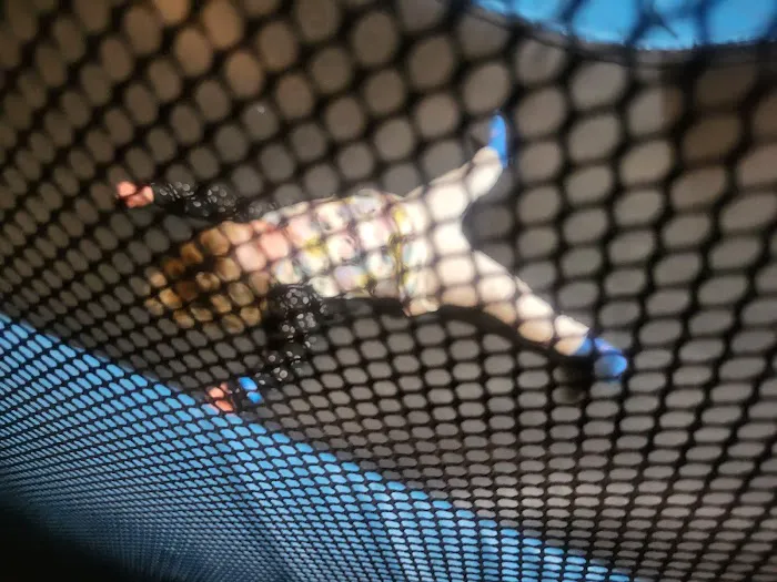 Altitude Trampoline Park - Pittsburgh/Bridgeville Picture 1