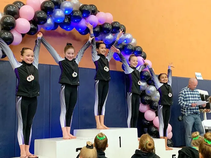Libertyville Gymnastics Academy Picture 3