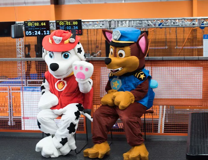 Sky Zone Trampoline Park Picture 5