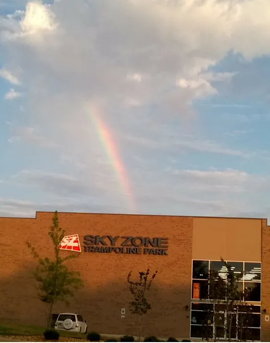 Sky Zone Trampoline Park Picture 6