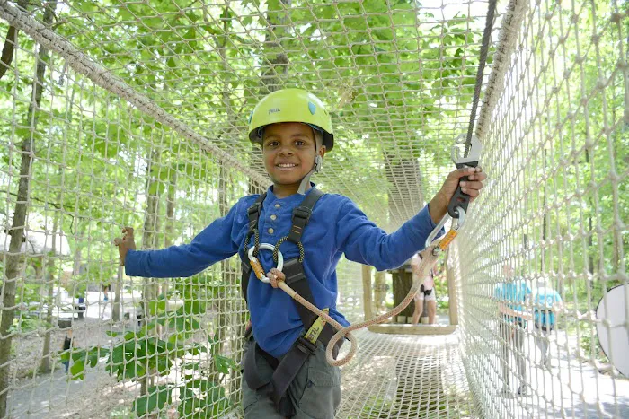 Treetop Quest Explore Park Picture 9