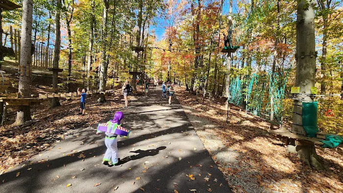 Treetop Quest Explore Park Picture 5