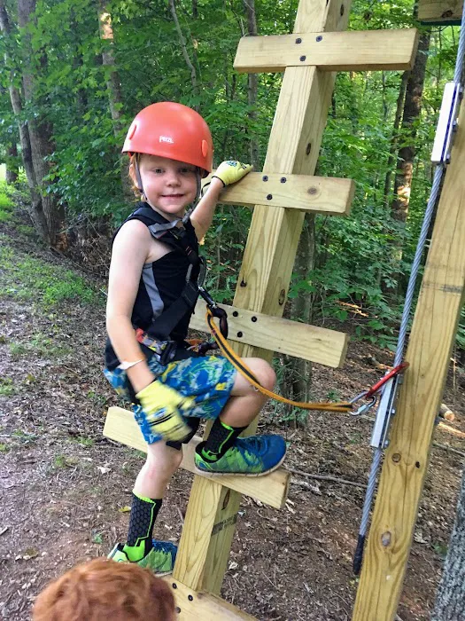Treetop Quest Explore Park Picture 4