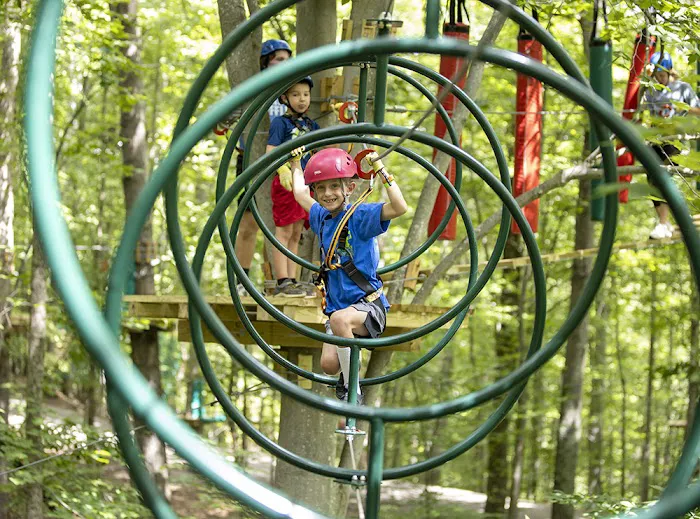 Treetop Quest Explore Park Picture 10