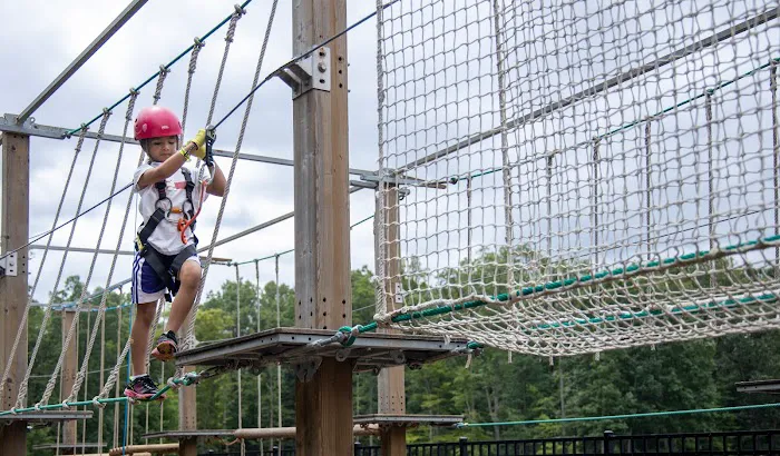 Treetop Quest Explore Park Picture 8