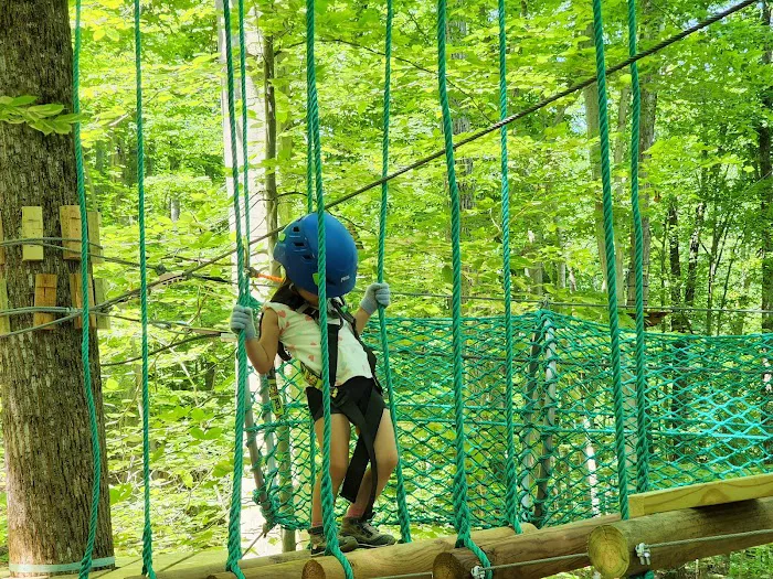 Treetop Quest Explore Park Picture 6