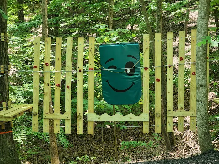 Treetop Quest Explore Park Picture 2