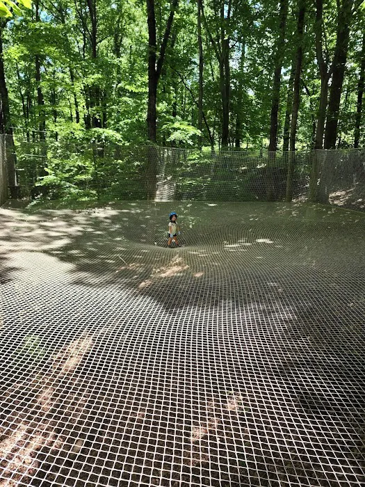 Treetop Quest Explore Park Picture 3