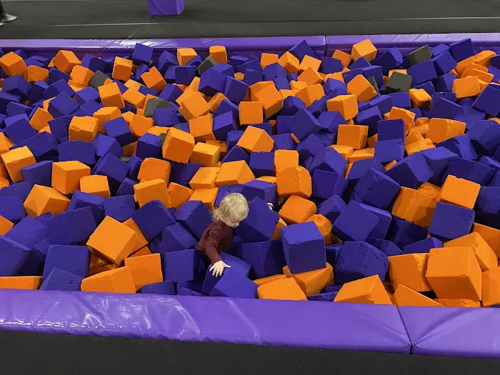 Surge Adventure Park Picture 8
